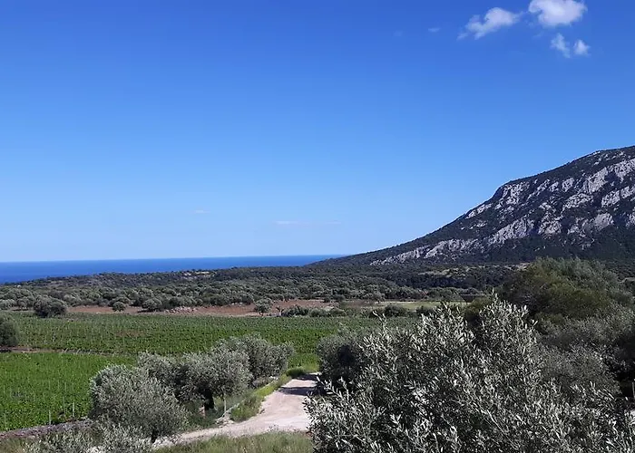 Agriturismo Su Barcu