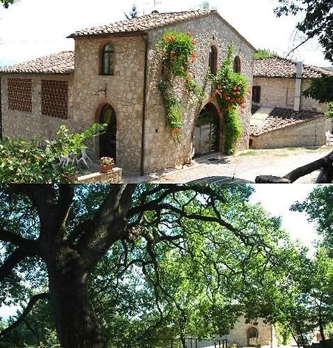 Fattoria Di Mugnano