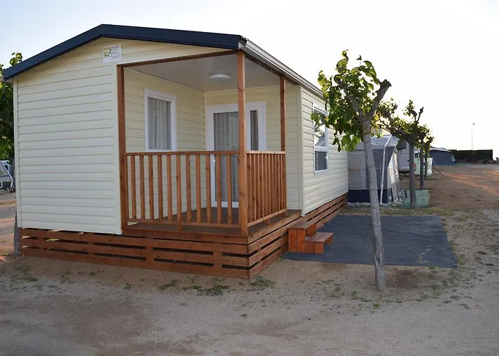 Hotel que admite mascotas: Camping el Pinar Platja
