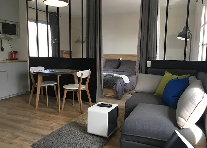 Hôtel accueillant les animaux: Appartements Les Rochelais