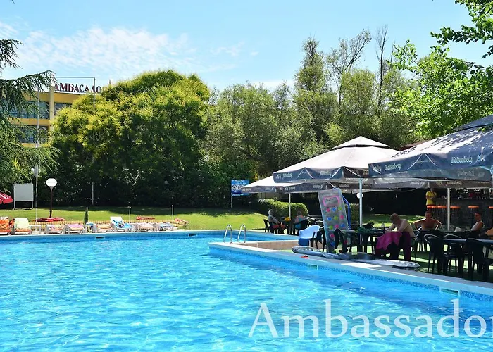Ambassador