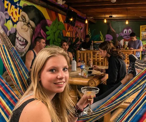 Albergue: Purple Monkey Hostel
