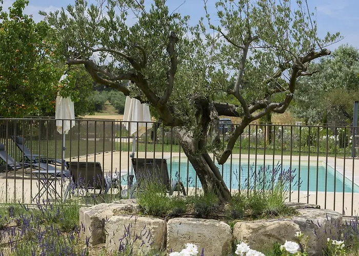 Domaine Du Mas Foucray