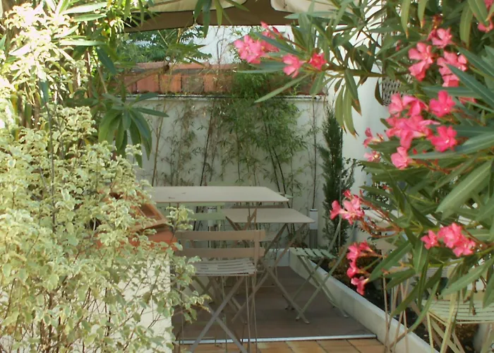 Cheap hotel: Hotel Alize