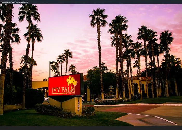Ivy Palm And Spa