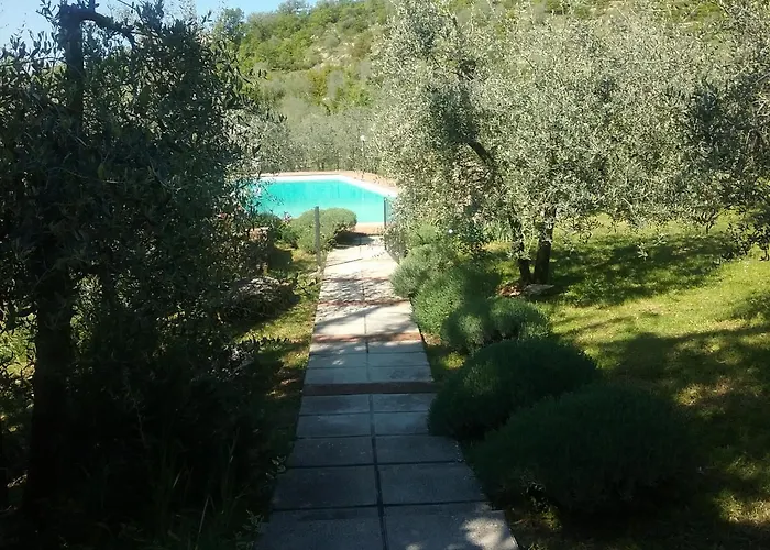 Crocino In Chianti
