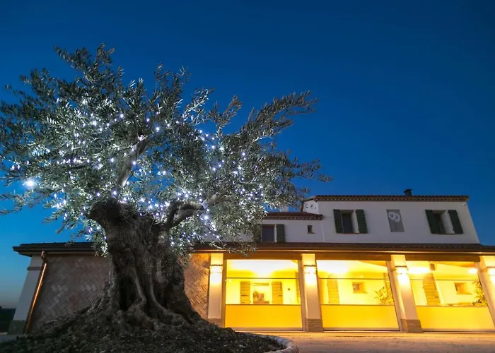 Agriturismo Le Margherite