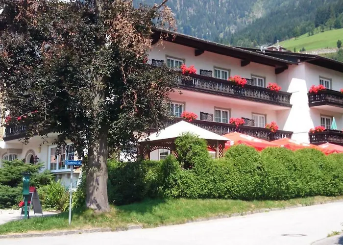 Haustierfreundliches Hotel: Hotel zum Toni