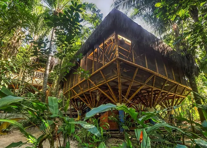 Universo Pol Bamboo Hostel