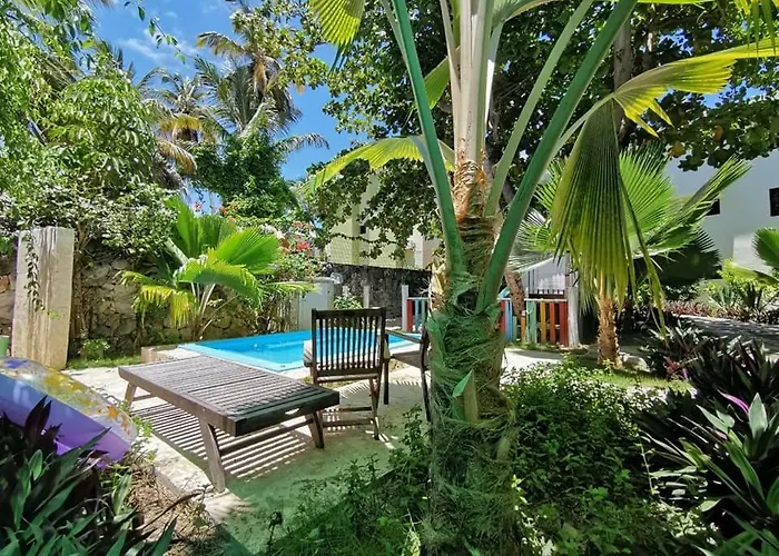 Riviera Punta Cana Eco Travelers