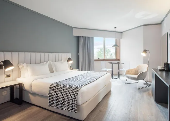 Perros hoteles HF Fénix
