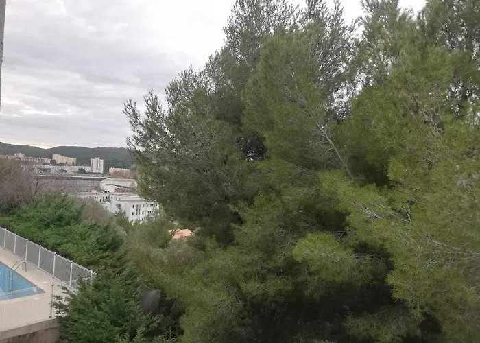Animaux admis Saint Roch