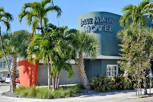 Blue Marlin